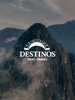 Descripción